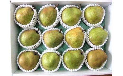 西洋梨（ラ・フランス）５ｋｇ　0030-2630