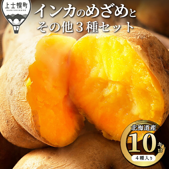 【ふるさと納税】北海道産インカのめざめとその他3種のじゃがいもセット 計10kg 上士幌町加藤農場 インカの目覚め 詰め合わせ レビューキャンペーン対象品 ◆2025年11月配送予定 ※オンライン申請対応
