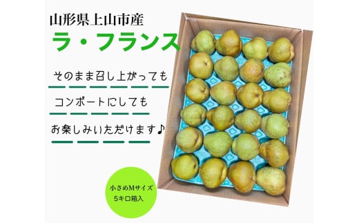 西洋梨（ラ・フランス）５ｋｇ　Ｍサイズ　ご家庭用　0055-2514