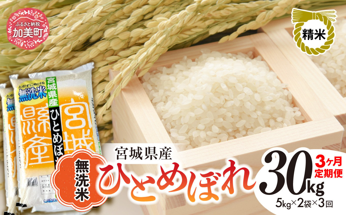 【3回定期便】新米 無洗米 令和6年度産 宮城 ひとめぼれ 30kg (10kg×3回)  [菅原精米工業 宮城県 加美町 ] ｜ sw00004-r6-10kg-3