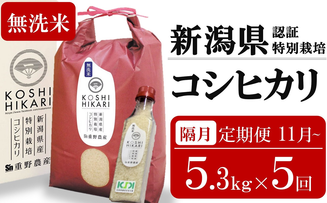 
            新米先行予約【隔月5ヶ月定期便・11月～発送】コシヒカリ 無洗米 5kg（ペットボトル米 300g 1本付き）×隔月5回 （計 26.5kg）重ちゃんのお米 令和7年産 [Y0079]
          