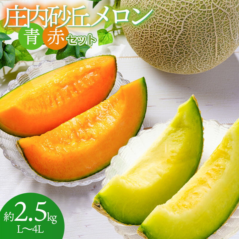 【ふるさと納税】【令和7年産先行予約】庄内砂丘メロン 青赤セット L～4L 約2.5kg入　山形県鶴岡市産