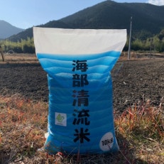 【白米】海部清流米コシヒカリ10kg 認定エコファーマー栽培  代々受け継がれた米農家が作ってます!