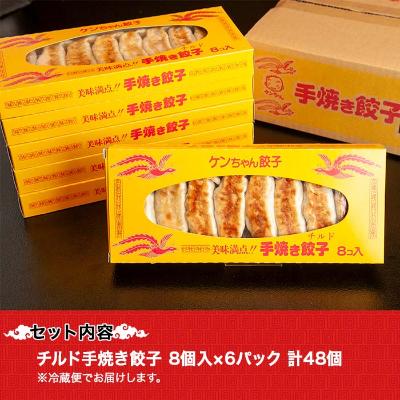 ふるさと納税 南魚沼市 新潟県 南魚沼市 チルド手焼き餃子 8個入り × 6パック 計48個 ケンちゃん餃子 |  | 03