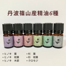 丹波篠山産精油　6種【ヒノキ3種(木部、枝葉、葉)・杉2種 (枝葉、葉)・クロモジ】