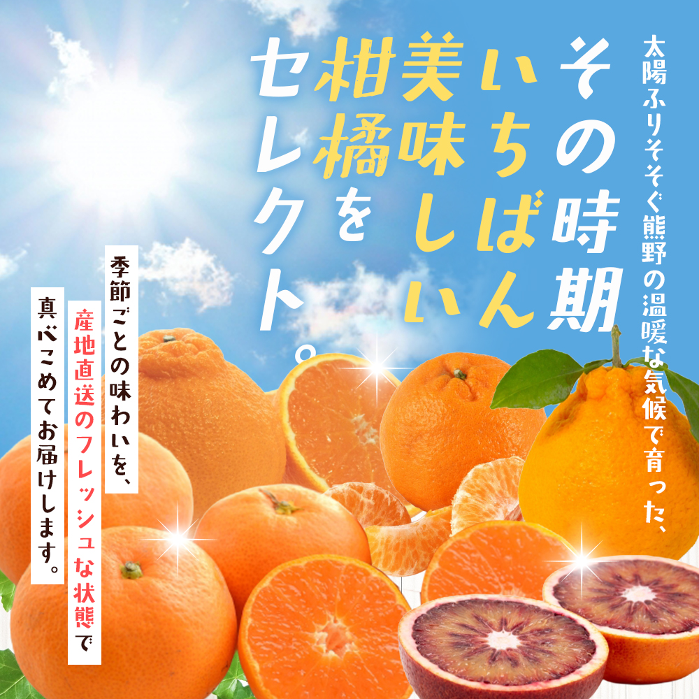 自然塾 季節の柑橘詰合せ 約3.5㎏ みかん ミカン 温州みかん フルーツ 果物 くだもの 柑橘 不知火 せとか 果物セット フルーツセット 甘い 濃厚 産地直送 数量限定 人気 国産 三重県 熊野市