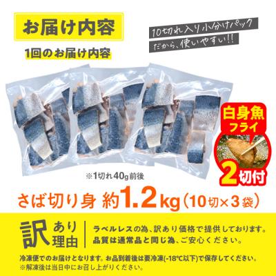ふるさと納税 佐伯市 【期間限定・白身魚フライ2切付】訳あり・さば 切り身(総計約1.2kg・30切) |  | 01