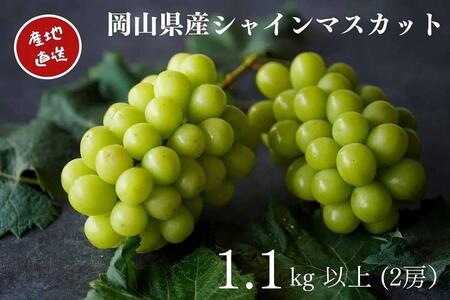 先行予約 2025年 厳選 シャインマスカット 2房 合計1.1kg以上 産地直送 朝採れ  Kawahara Green Farm 岡山県産 | フルーツ 果物 くだもの 厳選  シャインマスカット マスカット 朝採れ ぶどう ブドウ 葡萄  産地直送 岡山 岡山県産 国産 ギフト プレゼント 贈答用 果物 フルーツ シャインマスカット 葡萄 ぶどう ブドウ