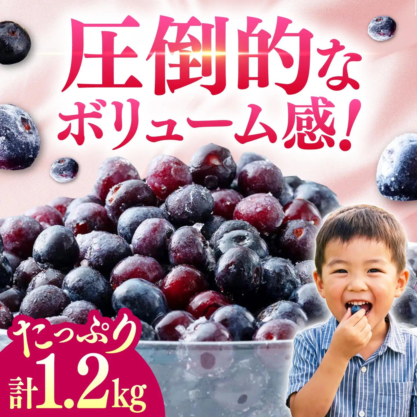 大容量 対馬産 ブルーベリー 1.2kg（ 冷凍 ） [WBG001] 果物 フルーツ ベリー 冷凍 ブルーベリー旬 ブルーベリー