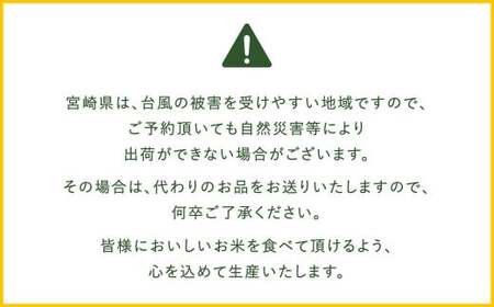 【3か月定期便】 無洗米 ＜真空パック＞ 米 国産 令和7年産 夏の笑み 宮崎県産（ 計10kg×3回）