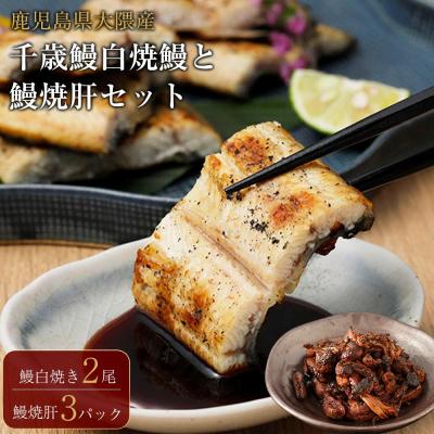 ふるさと納税 大崎町 鹿児島県大隅産　千歳鰻の白焼鰻　2尾・鰻焼肝セット