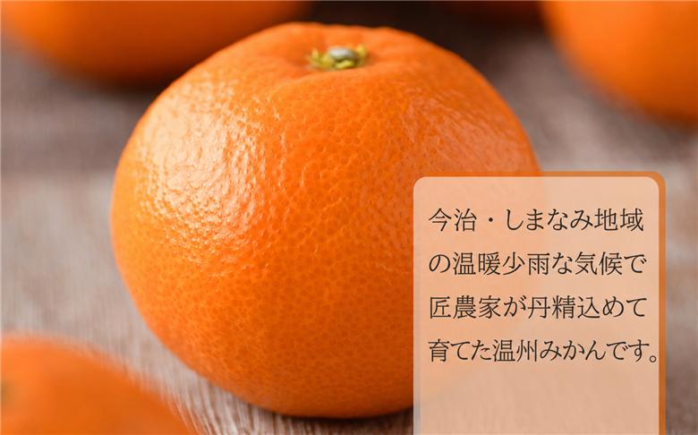 【先行予約】瀬戸内の温州みかん10kg　秀L～S | みかん ミカン 温州ミカン 温州みかん 甘いみかん 愛媛みかん 果物 フルーツ 柑橘 限定JA選果品