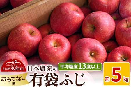 りんご 【先行受付】平均糖度13度以上！ 有袋ふじ 約5kg おもてなし用 CA貯蔵 クール便