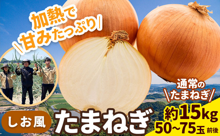 
たまねぎ【2025年先行予約分】しお風たまねぎ 約15kg《2025年6月上旬-6月末頃出荷(土日祝除く)》 玉ねぎ たまねぎ 野菜 青果物 岡山県 笠岡市
