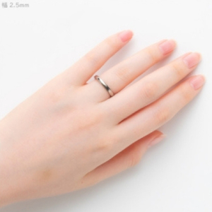 指輪 チタンリング 甲丸 (幅2.5mm) 13号 | 指輪 アクセサリー 新潟県 弥彦村