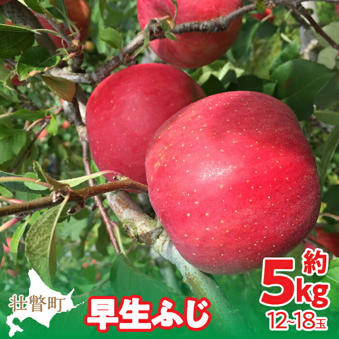 【ふるさと納税】＜2025年10月中旬よりお届け＞北海道壮瞥町　りんご　品種名「早生ふじ」12～18玉約5kg 【 ふるさと納税 人気 おすすめ ランキング りんご リンゴ 林檎 早生ふじ ふじ 昴林 紅将軍 北海道 壮瞥町 送料無料 】SBTF009
