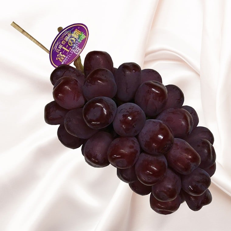 
            富士の輝き 600g 大粒 減農薬 豊岡ぶどう / 富士の輝 富士のかがやき 糖度20～23前後 甘い 豊岡ブドウ 産地直送 濃厚 甘味 コク 皮ごと 食べられる ぶどう ブドウ 葡萄 果物 くだもの フルーツ ふくい農園
          