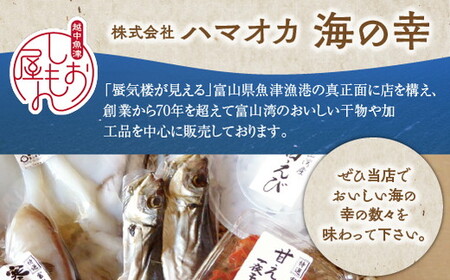 富山の干物専門店 伝承の紅鮭／開きあじ 紅鮭6切・あじ2尾 セット｜ 魚介類 魚貝 海鮮 紅じゃけ 鯵 アジ あじのひらき 切り身 干物 冷凍 朝食 晩酌 おつまみ セット ハマオカ海の幸 魚貝類 ア