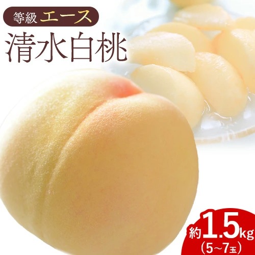【先行予約】清水白桃 等級 エース 約1.5kg 5～7玉入りもも モモ 岡山 国産 フルーツ 果物 ギフト 桃茂實苑《7月中旬-8月上旬頃出荷》岡山県 浅口市 フルーツ モモ 果物 青果 旬 白桃 国産 岡山県産【配送不可地域あり】