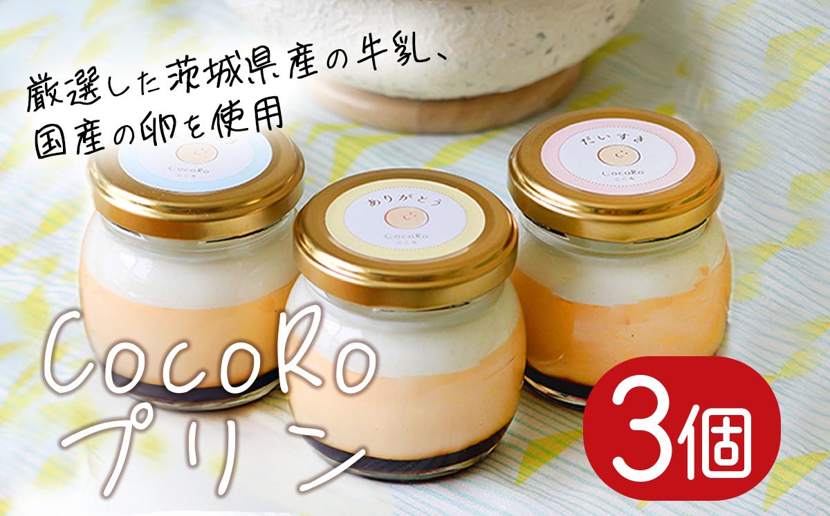 CocoRoプリン 3個セット（ ギフト包装 ＋ メッセージシール「ほんの気持ち」 ）【 茨城県 つくば市 プリン スイーツ 生クリーム カスタードクリーム バニラ 牛乳 卵 国産 甘味 お菓子 デザート ギフト 8000 】