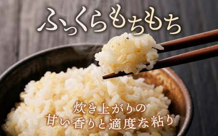 【先行受付】令和7年産新米 コシヒカリ玄米30kg ｜ 米 お米 国産 栃木県 塩谷町 ※2025年12月上旬頃より順次発送予定