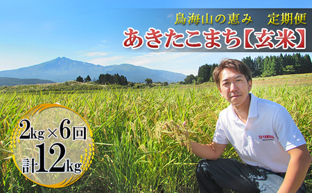 【先行予約】《定期便 6か月》 あきたこまち 2kg  玄米 あきたこまち R8年産
