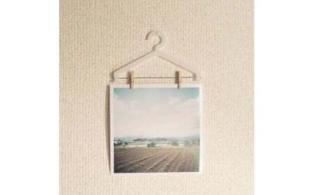 フォトクリップ「エモンカケ」 【乳白】 フォトクリップ 写真 衣紋掛 インテリア 手作り お取り寄せ 