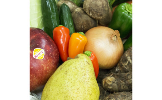 イーハトーヴ野菜A お試しセット 6品～ 【029】