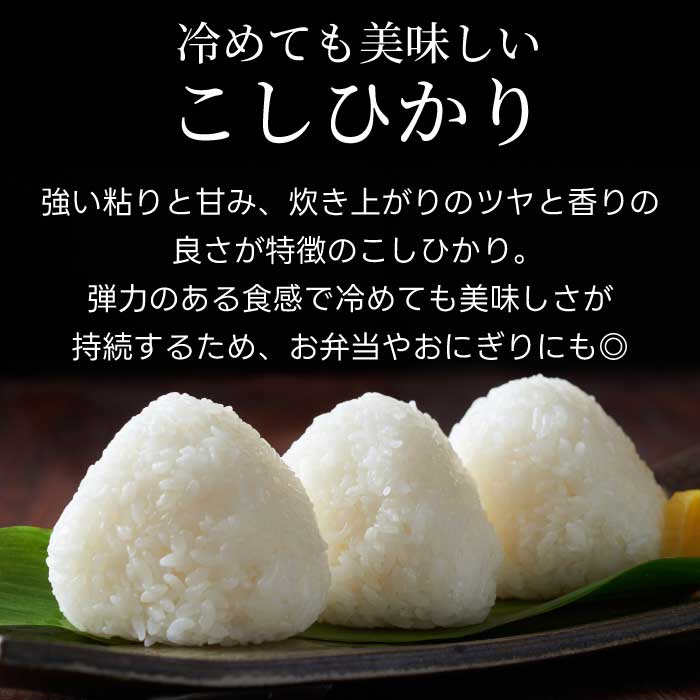 キューブほたる米「大和の里」こしひかり 300g×9個 精米 白米 米 こめ プレゼント 手軽 真空パック 066018