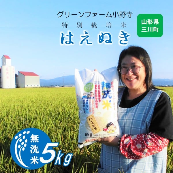 
            《無洗米》グリーンファーム小野寺のはえぬき5kg（令和7年産新米予約）
          
