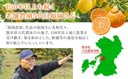 福岡農園 不知火 5kg 《1月上旬-1月末頃出荷》熊本県 氷川町 柑橘 果物 フルーツ 