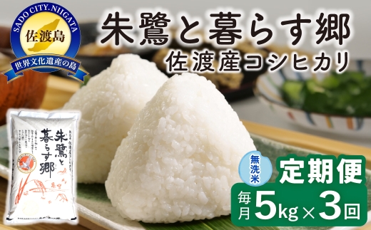 【定期便 令和8年産新米 3か月】 佐渡島産コシヒカリ 無洗米 5kg 令和8年産新米 特別栽培米 | 新潟県産コシヒカリ 新潟産コシヒカリ 佐渡産コシヒカリ 新潟県産こしひかり 佐渡産こしひかり お米 米 こしひかり 無洗米 むせんまい 精米 おこめ コメ 5キロ にいがた さど 新潟県 佐渡市