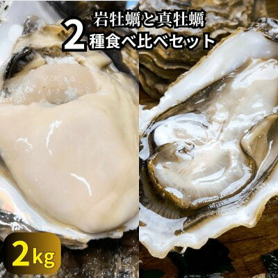 【ふるさと納税】 先行予約 篠島の2種の天然殻付きカキ2kg(岩牡蠣&真牡蠣)食べ比べセット 生食用/CAS冷凍　海鮮BBQに!