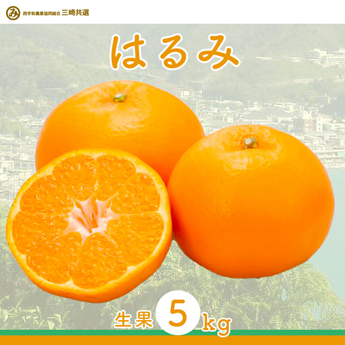 【ふるさと納税】【先行予約】【数量限定】はるみ（生果5kg）※離島への配送不可（2026年1月下旬より順次発送予定）【 ふるさと納税 人気 おすすめ ランキング 柑橘 みかん ミカン はるみ mikan 蜜柑 果物 生果 フルーツ 愛媛県産 愛媛県 伊方町 送料無料 】 IKTBD009