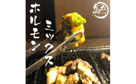 ＜チンするだけ！＞【秘伝のタレ漬け】国産牛ミックスホルモン焼き1.7kg（170ｇ×10パック）［鮮度を保つCAS冷凍］【 大阪府 門真市 】