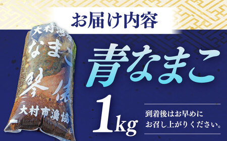 大村湾産 大村 青ナマコ 「琴俵｣ 1kg / なまこ 珍味 / 大村市漁業協同組合 / 大村市 [ACAP002]