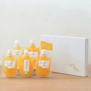 愛媛の人気柑橘品種を贅沢に飲み比べ!みかん寒天ゼリー 5本セット【A25-180】【1606339】