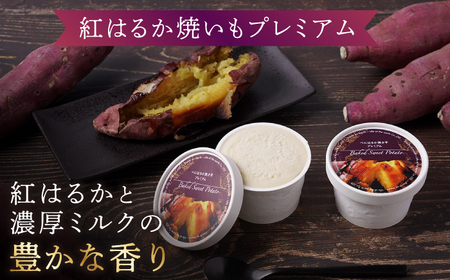 【こだわりの芋スイーツ】 紅はるか プレミアム ジェラート アソート 12個セット＜大地のいのち＞[CDA062] アイス ジェラート ｼﾞｪﾗｰﾄ ｱｲｽ ジェラート ジェラート アイス お試し バ