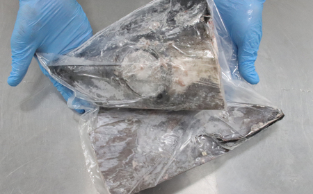 メバチマグロ兜 頭半割1個分（1kg） 1/4カット×2個 [0011-0014]