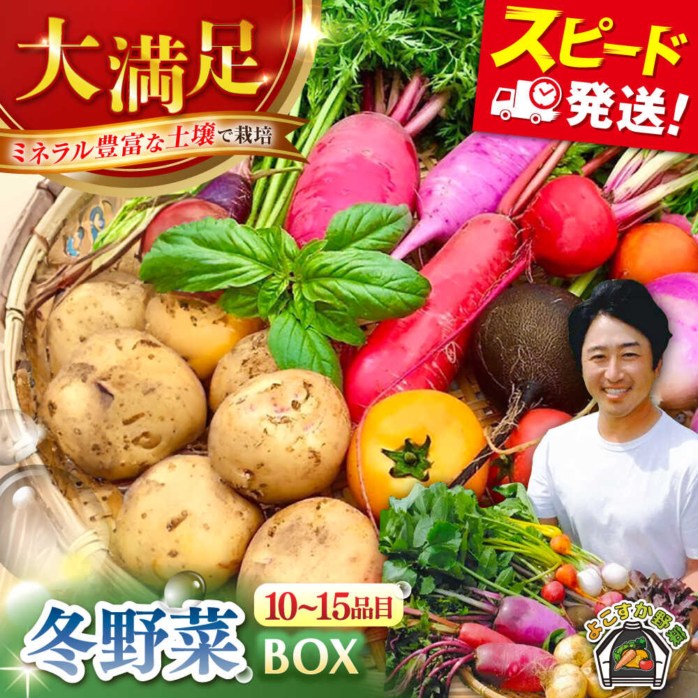 【ふるさと納税】すずなり採れたて野菜BOX（10〜15品目）冬（12月～2月）野菜セット 詰め合わせ 季節野菜 やさい 産地直送 旬 新鮮 定期 横須賀【鈴也ファーム】[AKCE002]