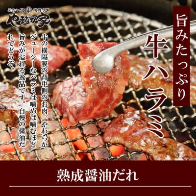 
            やまなか家の旨みたっぷり牛ハラミ＜熟成醤油だれ＞600g(K2-028)【1405429】
          