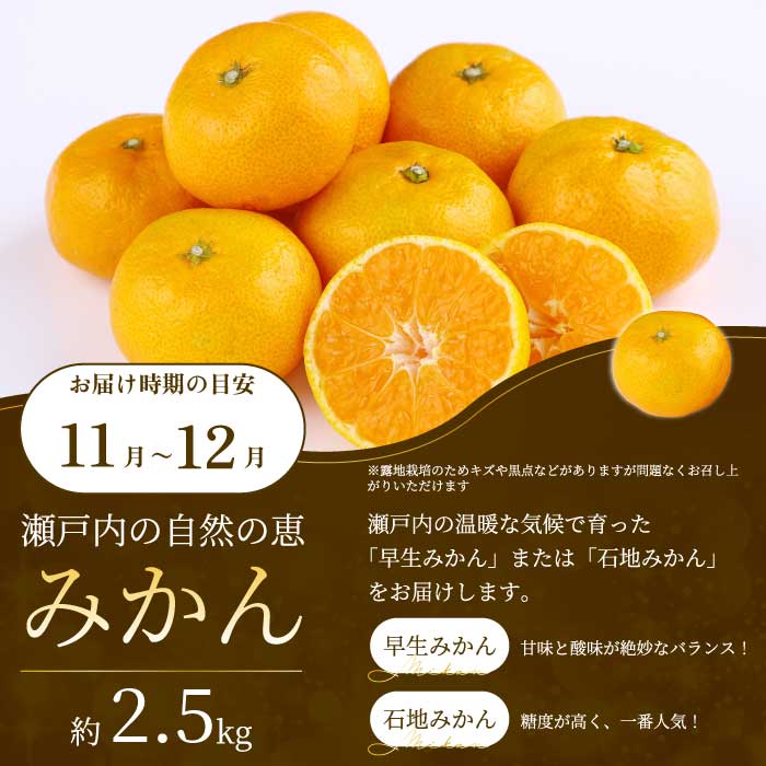 【年4回定期便】瀬戸内の恵みがいっぱい！人気の厳選フルーツ定期便 いちご  桃 ぶどう みかん 広島県三原市 イチゴ もも ブドウ 柑橘 T06