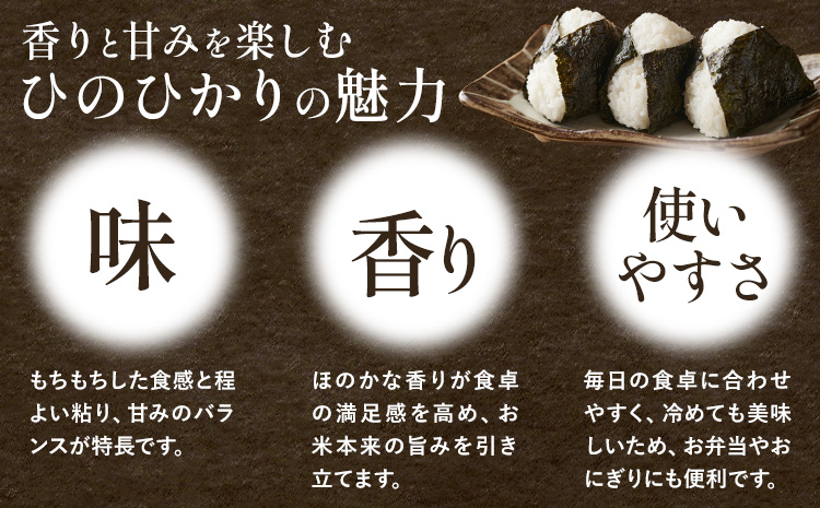 令和7年産 有機JAS 七城産ひのひかり 精米 5kg 《30日以内に出荷予定(土日祝除く)》渡辺農産熊本県 菊池市 米 お米 精米 ひのひかり 菊池市産 熊本県産 九州産 送料無料