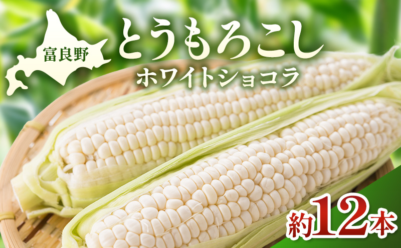 【2026年夏発送】富良野産 とうもろこし ホワイトショコラ 約12本 [近藤農園] とうもろこし コーン とうきび 野菜 新鮮 甘い 贈り物 ギフト 道産 ジューシー ふらの ブランド 夏 北海道 富良野市