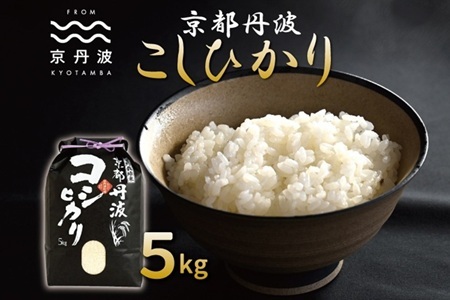 【京丹波の米】 京丹波こしひかり 5kg 令和8年産 【 京丹波産 米  白米 】  [010MB001]