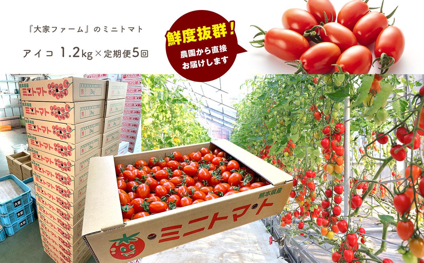 【定期5回】『大家ファーム』のミニトマト アイコ 1.2kg×5回
