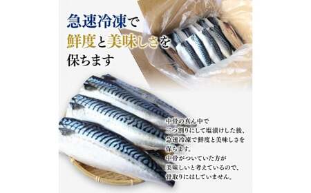 塩さばフィレ 3kg(約20枚前後） / 切り身 切身 サバ 鯖 焼き魚 甘塩 冷凍 おかず お弁当 和歌山県 田辺市 / 切り身 切身 サバ 鯖 焼き魚 甘塩 冷凍 おかず お弁当 和歌山県 田辺市