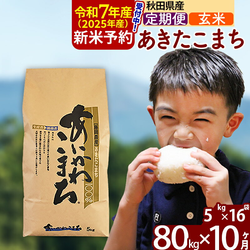 【ふるさと納税】※令和7年産 新米予約※《定期便10ヶ月》秋田県産 あきたこまち 80kg【玄米】(5kg小分け袋) 2025年産 お届け周期調整可能 隔月に調整OK お米 藤岡農産