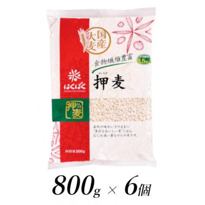 ふるさと納税 南アルプス市 はくばくの押麦　800g×6個
