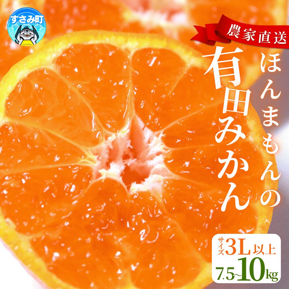 【ふるさと納税】びっくり有田みかん 大玉 3L以上 ファミリー層 高評価★★★★★【選べる容量】 / 訳あり ご家庭用 訳ありみかん 有田みかん フルーツ 果物 7.5kg 10kg 12000円 15000円 先行予約 農家直送 【※11月中旬～12月下旬に順次発送(お届け日指定不可)】
